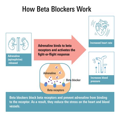 how do beta adrenergic blockers work - what is beta blocker